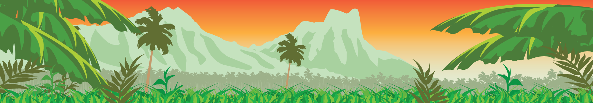 Web Kokua Banner Image